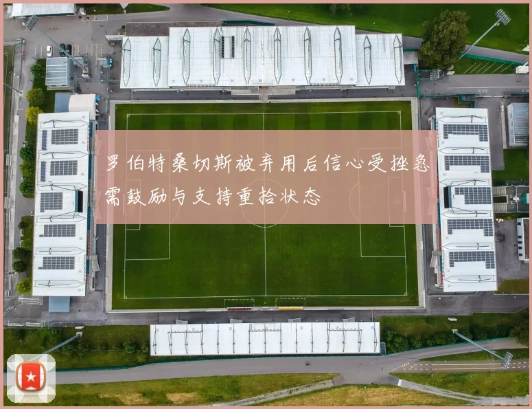 罗伯特桑切斯被弃用后信心受挫急需鼓励与支持重拾状态