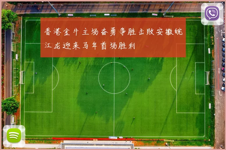 香港金牛主场奋勇争胜击败安徽皖江龙迎来马年首场胜利